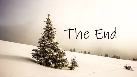 thedome372 online show from March 2025 10:42:01 PM