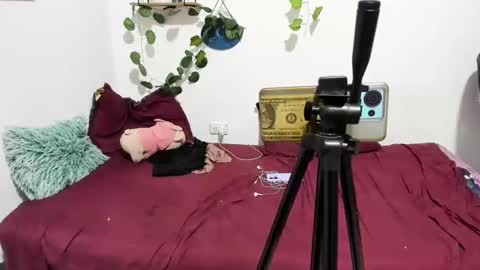 Snapshot of thefenix_jyk chatting on March 2025 06:15:02 AM Ariamapola88 online show from March 2025 06:15:02 AM