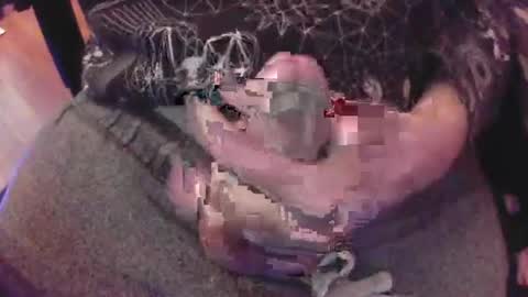 The Fox  The Cat online show from January 2025 06:31:01 PM