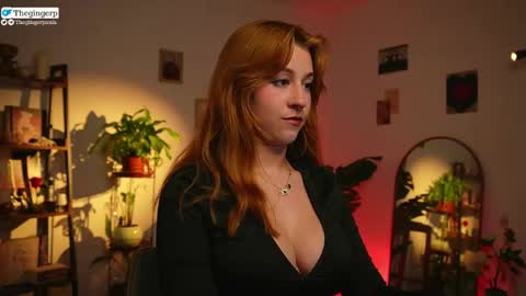   Streaming mostly at    online show from April 2026 09:37:01 PM