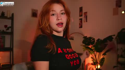 Snapshot of thegingerp chatting on April 2026 10:41:01 PM Streaming mostly at online show from April 2026 10:41:01 PM