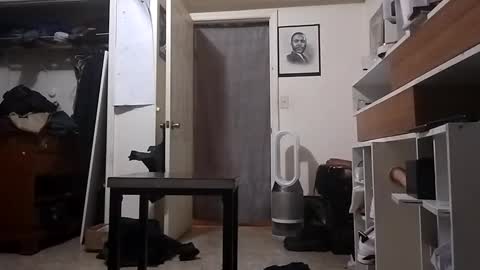 Snapshot of theguyss678 chatting on December 2024 11:10:02 AM Arching4Life online show from December 2024 11:10:02 AM