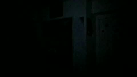 Snapshot of theguyss678 chatting on January 2025 01:04:02 AM Arching4Life online show from January 2025 01:04:02 AM