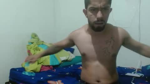 thehousedog online show from November 2025 12:29:02 PM