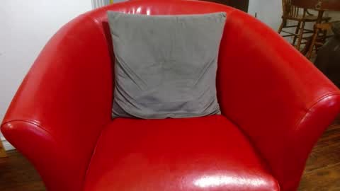 thekodyy online show from January 2025 01:56:01 PM