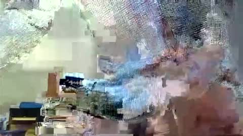 themouse6969 online show from October 2025 04:40:02 PM