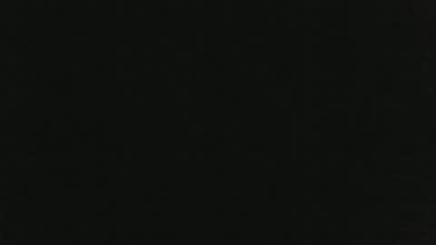 JohnSilver online show from January 2025 04:35:01 PM