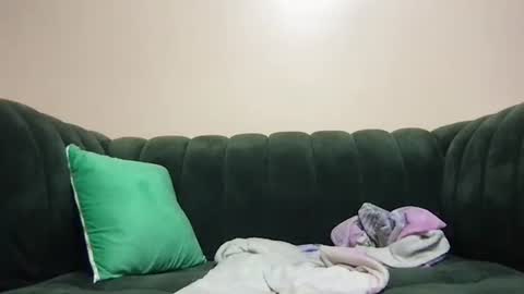 Snapshot of thenymphshow chatting on January 2025 05:07:02 PM thenymphshow online show from January 2025 05:07:02 PM