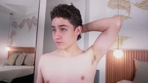 Snapshot of theohawke_ chatting on January 2025 04:21:01 PM THEO- MATEO online show from January 2025 04:21:01 PM