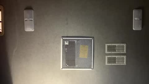 theonlyboi43ver online show from September 2025 11:19:02 PM