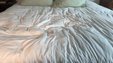 Maya Hill online show from April 2026 03:39:02 PM