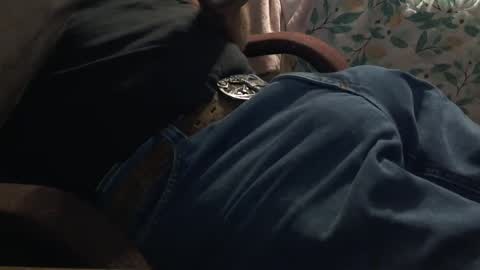 Snapshot of thetnguy chatting on October 2025 12:24:01 PM thetnguy online show from October 2025 12:24:01 PM