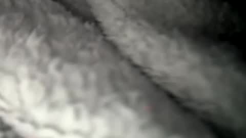 thickuncut7148704 online show from February 2025 09:16:01 AM