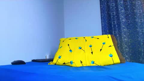 Snapshot of thomas_ks11 chatting on March 2026 04:20:01 AM thomas_ks11 online show from March 2026 04:20:01 AM