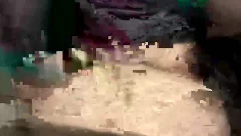 thunderbird2696 online show from April 2026 04:23:01 PM