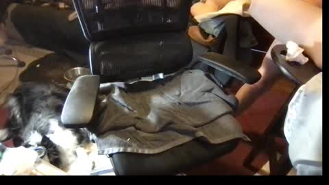 thundersword online show from March 2025 07:09:02 PM