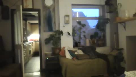 tiddles12345 online show from October 2025 06:26:02 AM