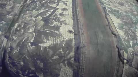 Snapshot of tightywhities52 chatting on February 2025 11:58:02 PM tightywhities52 online show from February 2025 11:58:02 PM