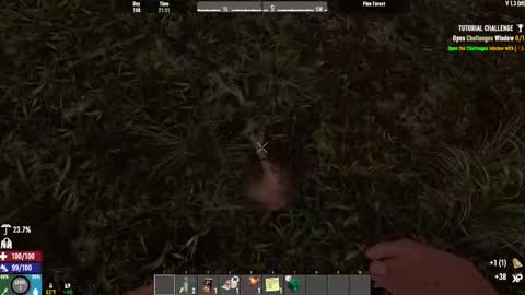 TimLooking online show from February 2025 08:22:02 AM