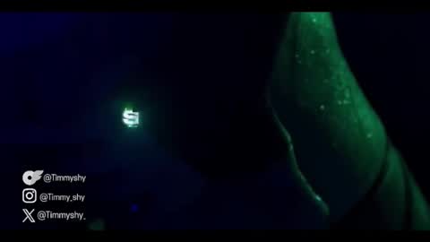 timmyshy online show from January 2026 10:02:01 PM