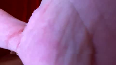 timtim19781978 online show from September 2025 11:21:02 AM