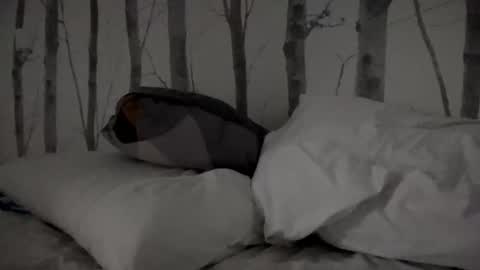 Tim online show from March 2025 08:30:02 AM