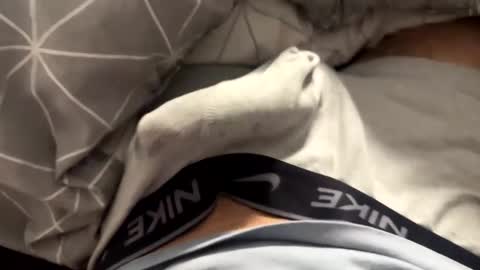 Timur online show from April 2026 10:07:02 PM