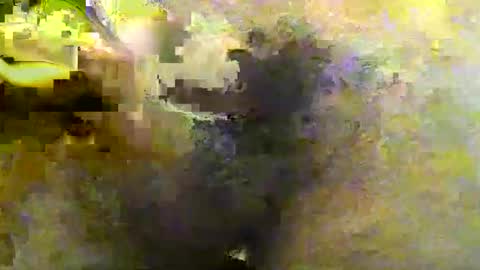 Snapshot of tirius_barkhan chatting on November 2025 06:45:02 PM Tirius Barkhan online show from November 2025 06:45:02 PM