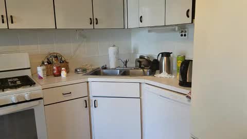 Joe online show from December 2024 04:03:02 PM