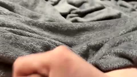 Snapshot of tmue chatting on February 2026 02:58:02 PM tmue online show from February 2026 02:58:02 PM