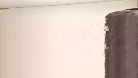 Vols online show from March 2025 11:44:02 AM