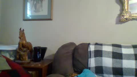 Vols online show from October 2025 06:15:01 PM