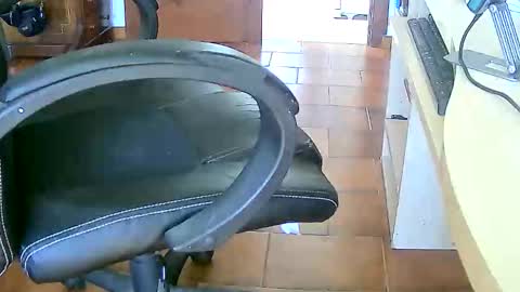 Tobiko online show from February 2026 03:29:02 PM