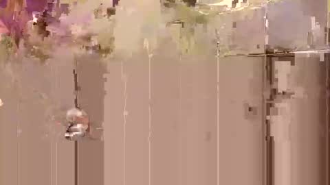 Snapshot of tobyobeys chatting on October 2025 03:32:02 AM Toby Obeys online show from October 2025 03:32:02 AM