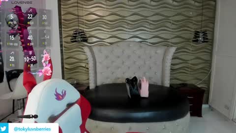 toky         online show from January 2025 06:57:02 PM