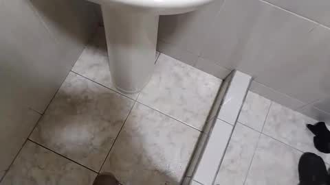 Tomas online show from December 2024 11:50:02 PM