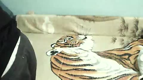 Tomek online show from December 2024 05:18:02 PM