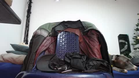   Thomas    online show from January 2025 10:52:01 PM