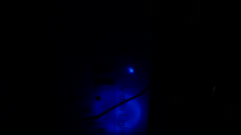   Thomas    online show from January 2025 10:30:02 PM