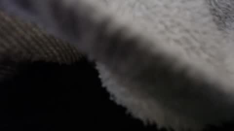   Thomas    online show from February 2025 01:30:02 AM