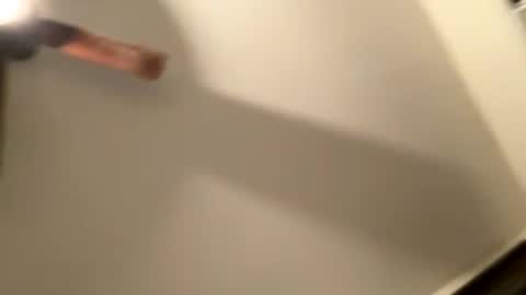 tommygunz62 online show from February 2026 02:28:01 AM