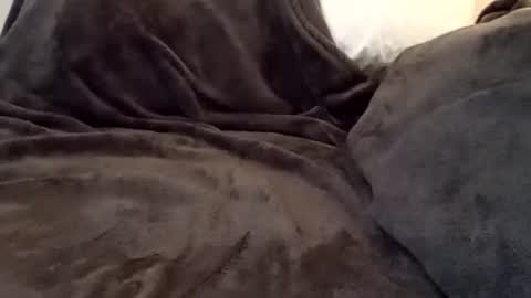tony_bigwood online show from June 2026 08:22:02 PM