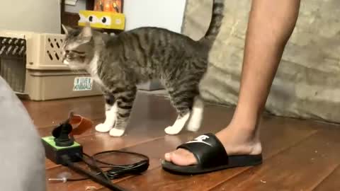 TopTierDrippa online show from March 2026 12:11:01 PM