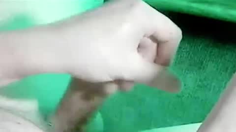 tornne online show from January 2026 02:30:01 PM