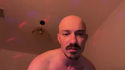 torrobxl online show from June 2026 05:55:02 AM