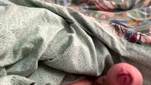 tos12345 online show from November 2025 12:15:02 PM