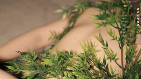 Toshi online show from March 2025 01:06:02 PM