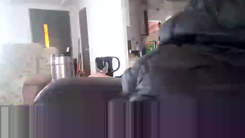 Jim online show from January 2025 04:16:02 PM