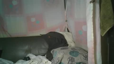 transhottie28 online show from March 2025 01:20:01 PM