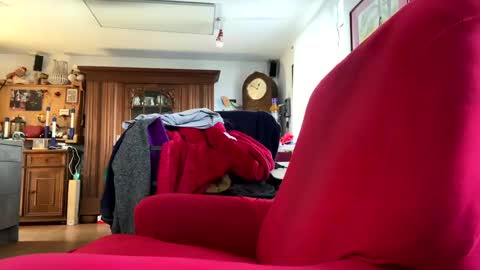 Snapshot of trebgeis1 chatting on February 2025 11:44:02 AM trebgeis1 online show from February 2025 11:44:02 AM